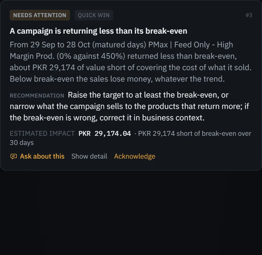 The demo account’s audit finding for a campaign returning less than its break-even, its detail opened.