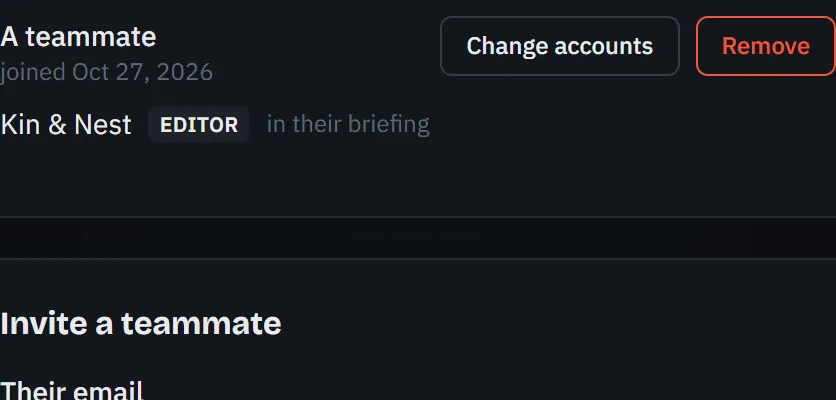A teammate’s accounts opened on the Team page, each with its role.