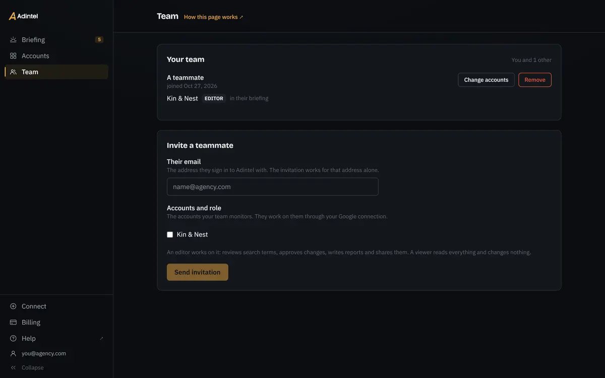 The Team page: a teammate with the accounts they were given and the role on each, and the form that invites the next.